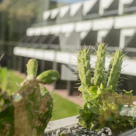 Caloura Hotel Resort