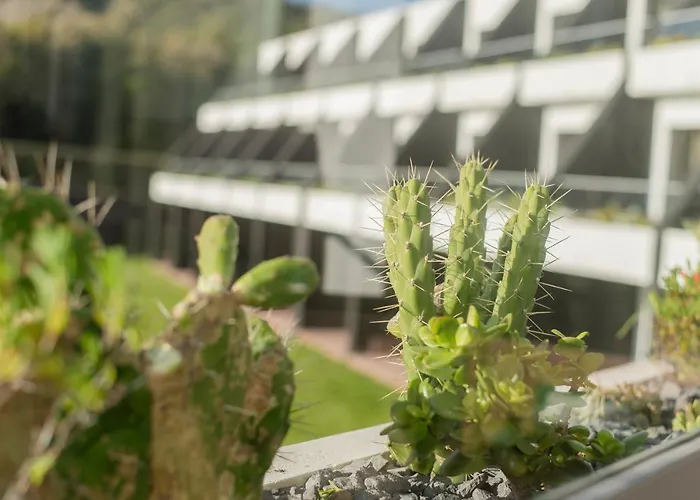 Caloura Hotel Resort